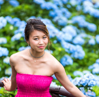 Hydrangea Garden